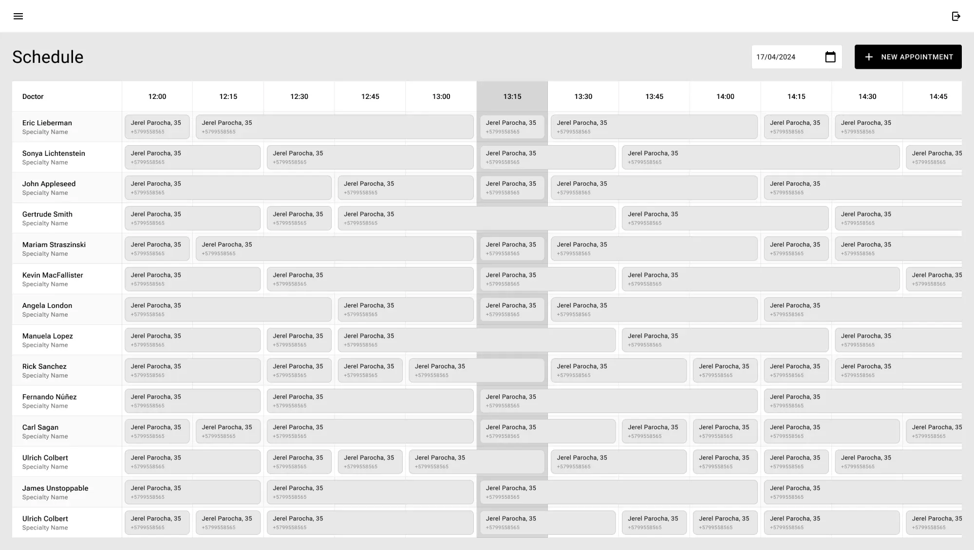 Schedule Low-fidelity wireframe of the doctors schedule grid
